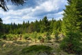 Spring landscape around the Hill PancÃÂ­Ãâ¢, ÃÂ piÃÂÃÂ¡k, ÃÂ umava, Czech Republic